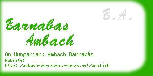 barnabas ambach business card